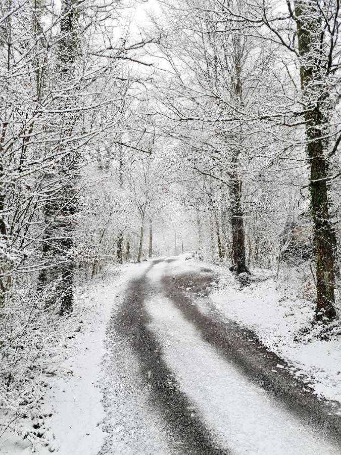 Het Boshuisje In Durbuy Vila Exterior foto