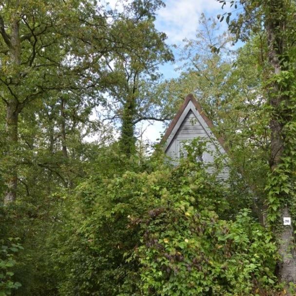 Het Boshuisje In Durbuy Vila Exterior foto